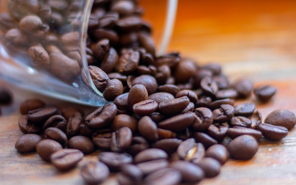 Savoring Sustainability: The Rise of Eco-Friendly Dining